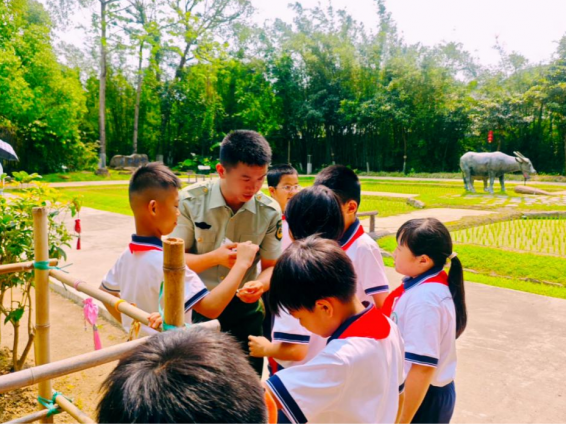 中山市退役軍人事務(wù)系統(tǒng)開展全民國家安全教育日系列主題活動(dòng)